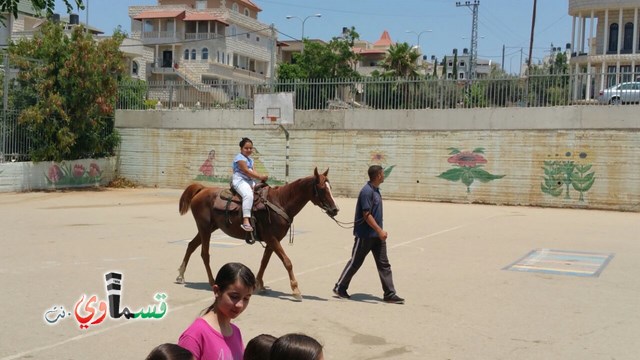 كفرقاسم - فيديو  : تعليم هواية ركوب الخيل في مدرسة جنة ابن رشد في اليوم الرابع لصيف الصادقة 